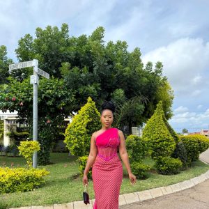 Robyn dress