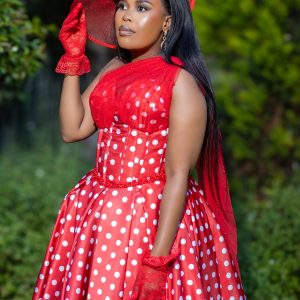 Marinette dress